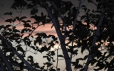 DSCN1851