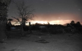 DSCN1854