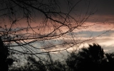DSCN1855