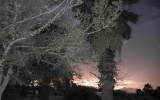 DSCN1860