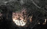 DSCN1867