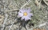 DSCN2898