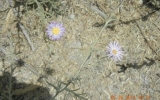 DSCN2899