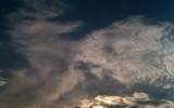 IMAG0341