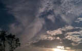 IMAG0343
