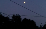 IMAG0354