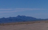IMAG0529