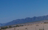IMAG0534