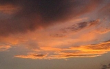 IMAG0551