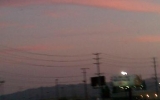 IMAG0552