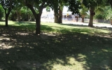 P1010006