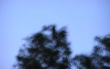 P1010061