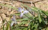 P2042389