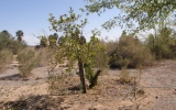 P2042427