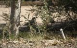 P2042430