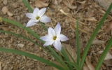 P3058126