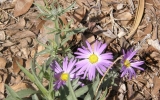 P3058131