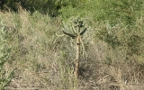 P4090410