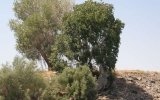 P5210653