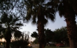 P6190712
