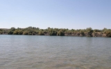 P7043778