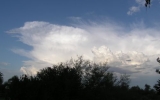 P8060033