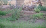 P8060036