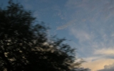 P8060042