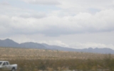 P8224256