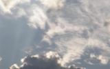 P8224263