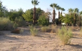 PA040001