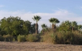 PA040004