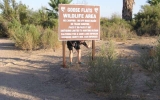PA040005