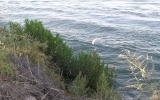 PA040008