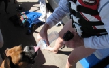 Rufusdrinks_082012