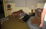 RufuslovesE_0802012