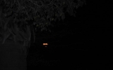 River Ranch_July2012 008