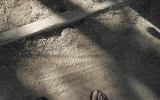 River Ranch_July2012 022