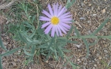 Spring2011