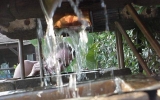 Shane_s_fountain_001