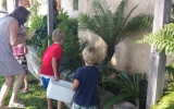 TPEMlizards_614