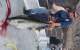 100I Tory And Jay_s Tuna