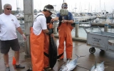 105 Jay N Alan Weighing Fish
