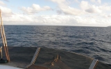 PB099289