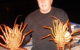 The Lobster Dance_2010