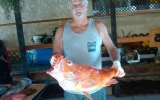 Cow Cod