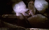 Fish_350lbs_112012