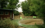 PowellsPool_2012