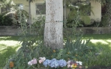 DSCN2758