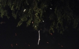 DSCN3079